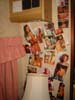 Photo of some more of Paddy's porn-tastic wall coverings
