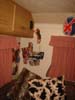Photo of Paddy's bedroom area